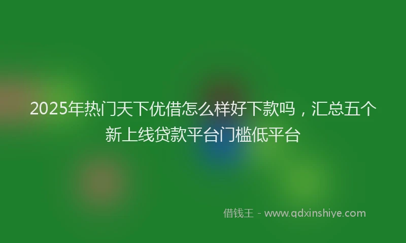2025年热门天下优借怎么样好下款吗，汇总五个新上线贷款平台门槛低平台