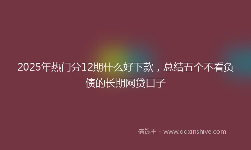 2025年热门分12期什么好下款，总结五个不看负债的长期网贷口子