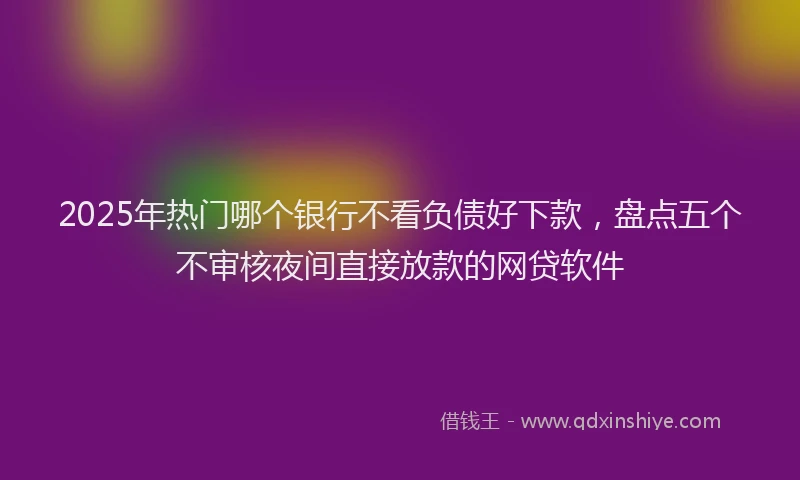 2025年热门哪个银行不看负债好下款，盘点五个不审核夜间直接放款的网贷软件