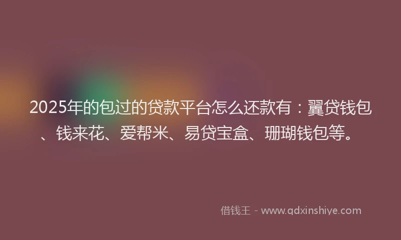 2025年的包过的贷款平台怎么还款有：翼贷钱包、钱来花、爱帮米、易贷宝盒、珊瑚钱包等。