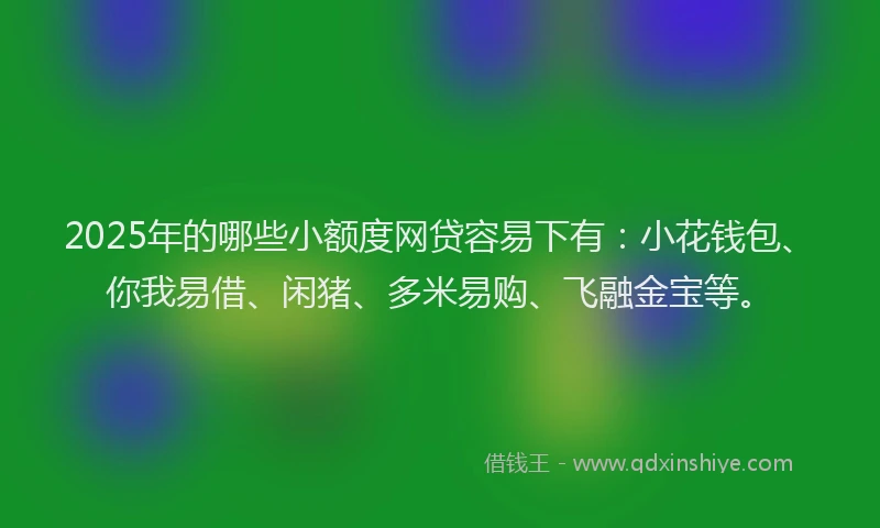 2025年的哪些小额度网贷容易下有：小花钱包、你我易借、闲猪、多米易购、飞融金宝等。