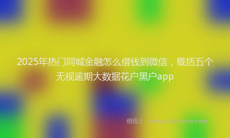 2025年热门同城金融怎么借钱到微信，概括五个无视逾期大数据花户黑户app