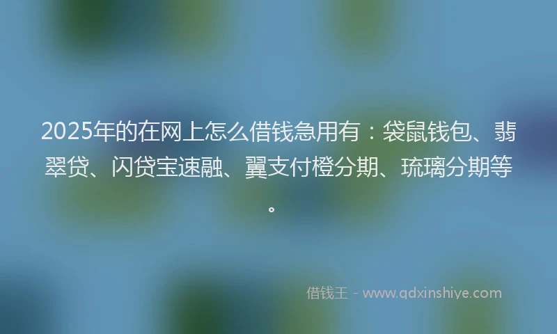 2025年的在网上怎么借钱急用有：袋鼠钱包、翡翠贷、闪贷宝速融、翼支付橙分期、琉璃分期等。