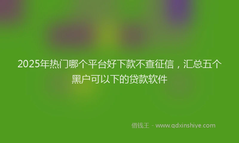 2025年热门哪个平台好下款不查征信，汇总五个黑户可以下的贷款软件