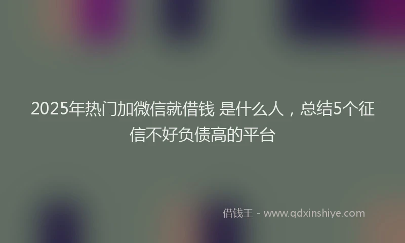 2025年热门加微信就借钱 是什么人，总结5个征信不好负债高的平台