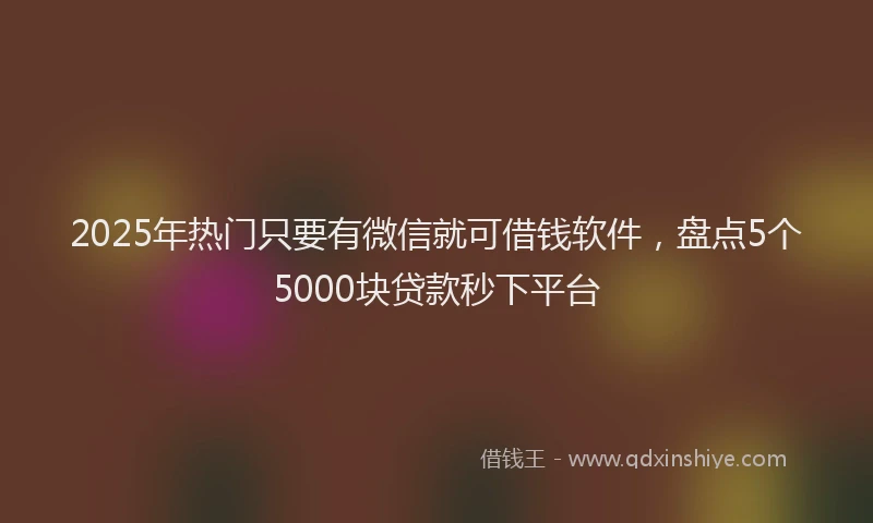 2025年热门只要有微信就可借钱软件，盘点5个5000块贷款秒下平台