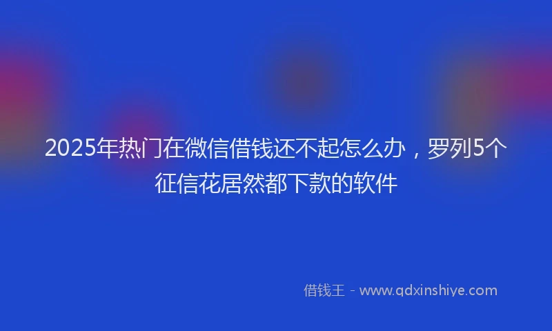 2025年热门在微信借钱还不起怎么办，罗列5个征信花居然都下款的软件