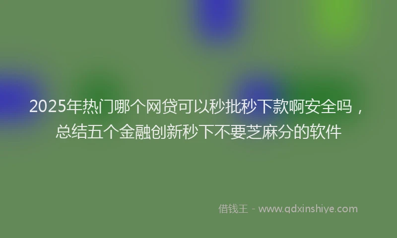 2025年热门哪个网贷可以秒批秒下款啊安全吗，总结五个金融创新秒下不要芝麻分的软件