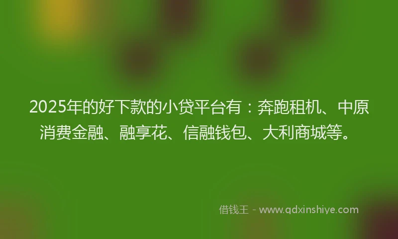 2025年的好下款的小贷平台有：奔跑租机、中原消费金融、融享花、信融钱包、大利商城等。