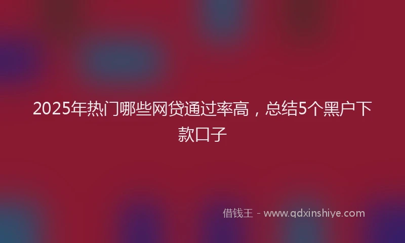 2025年热门哪些网贷通过率高，总结5个黑户下款口子