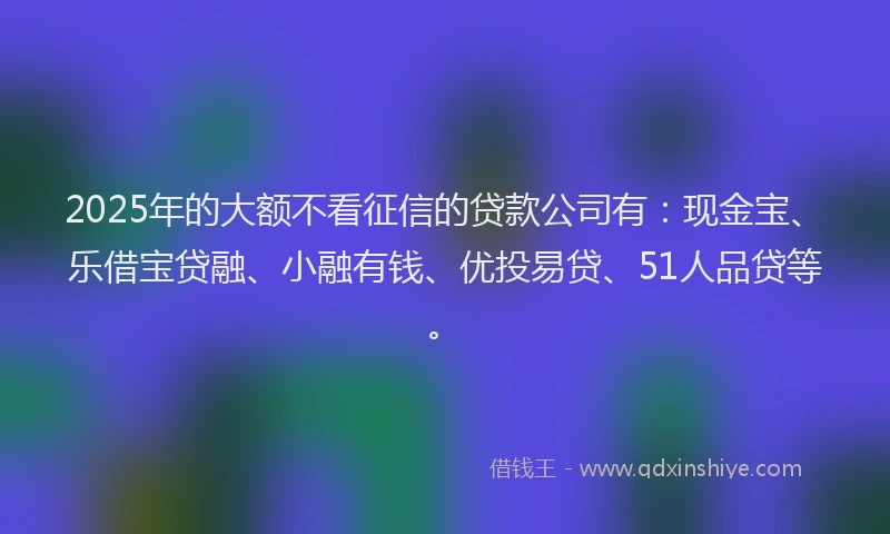 2025年的大额不看征信的贷款公司有：现金宝、乐借宝贷融、小融有钱、优投易贷、51人品贷等。