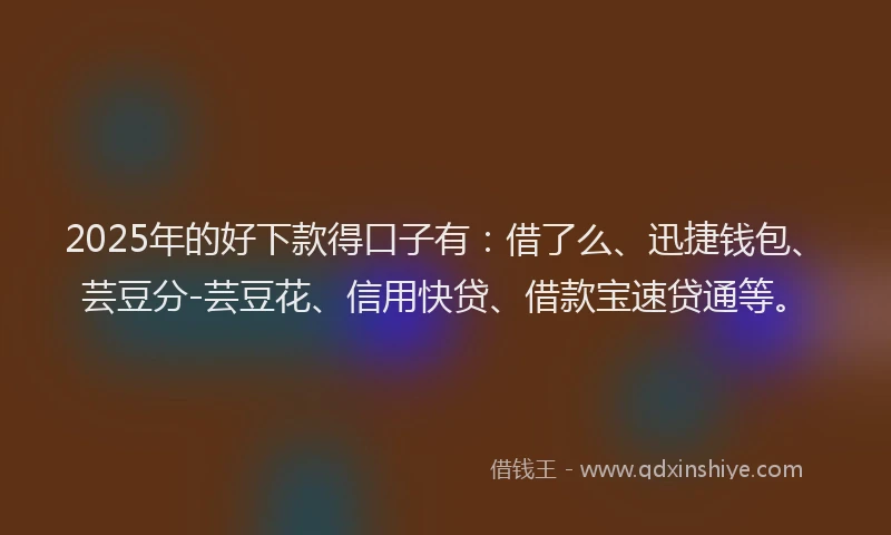 2025年的好下款得口子有：借了么、迅捷钱包、芸豆分-芸豆花、信用快贷、借款宝速贷通等。