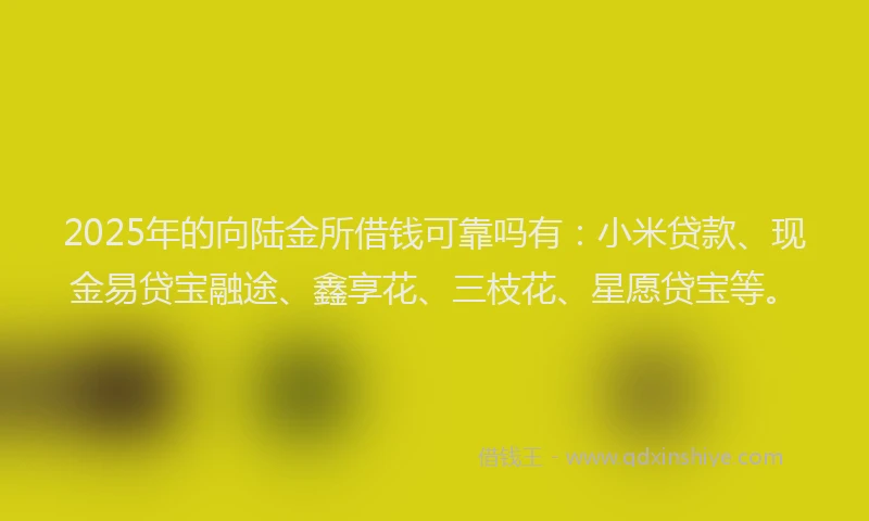 2025年的向陆金所借钱可靠吗有：小米贷款、现金易贷宝融途、鑫享花、三枝花、星愿贷宝等。
