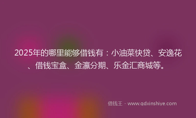 2025年的哪里能够借钱有：小油菜快贷、安逸花、借钱宝盒、金瀛分期、乐金汇商城等。