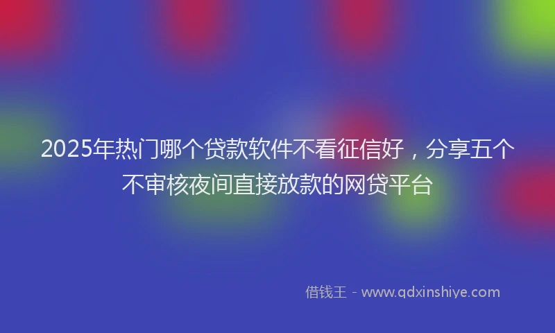 2025年热门哪个贷款软件不看征信好，分享五个不审核夜间直接放款的网贷平台