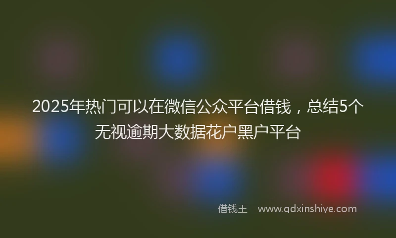 2025年热门可以在微信公众平台借钱，总结5个无视逾期大数据花户黑户平台