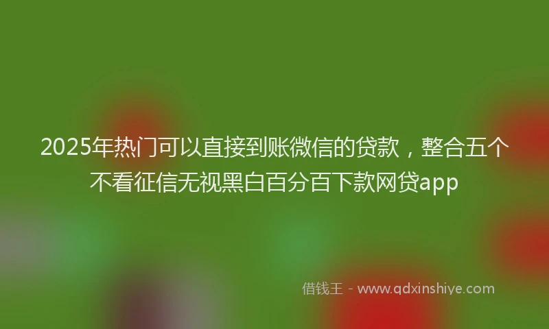 2025年热门可以直接到账微信的贷款，整合五个不看征信无视黑白百分百下款网贷app