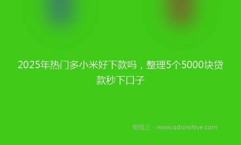 2025年热门多小米好下款吗，整理5个5000块贷款秒下口子