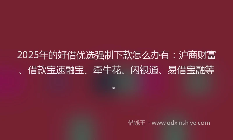 2025年的好借优选强制下款怎么办有：沪商财富、借款宝速融宝、牵牛花、闪银通、易借宝融等。