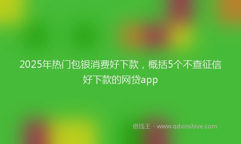 2025年热门包银消费好下款，概括5个不查征信好下款的网贷app
