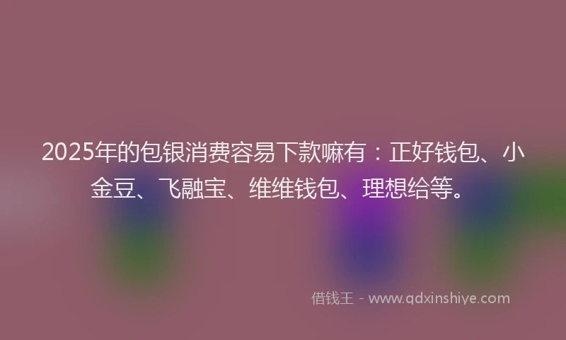 2025年的包银消费容易下款嘛有：正好钱包、小金豆、飞融宝、维维钱包、理想给等。