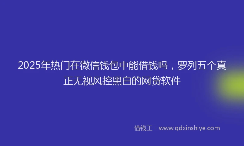 2025年热门在微信钱包中能借钱吗，罗列五个真正无视风控黑白的网贷软件