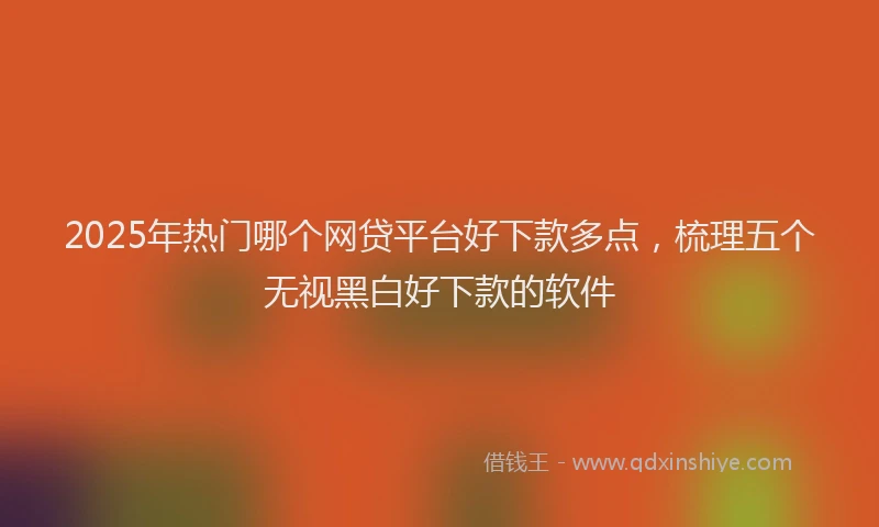 2025年热门哪个网贷平台好下款多点，梳理五个无视黑白好下款的软件