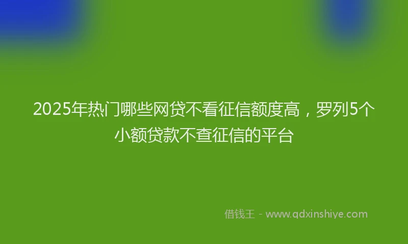 2025年热门哪些网贷不看征信额度高，罗列5个小额贷款不查征信的平台