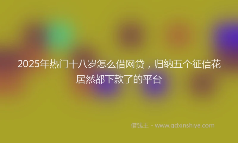 2025年热门十八岁怎么借网贷，归纳五个征信花居然都下款了的平台