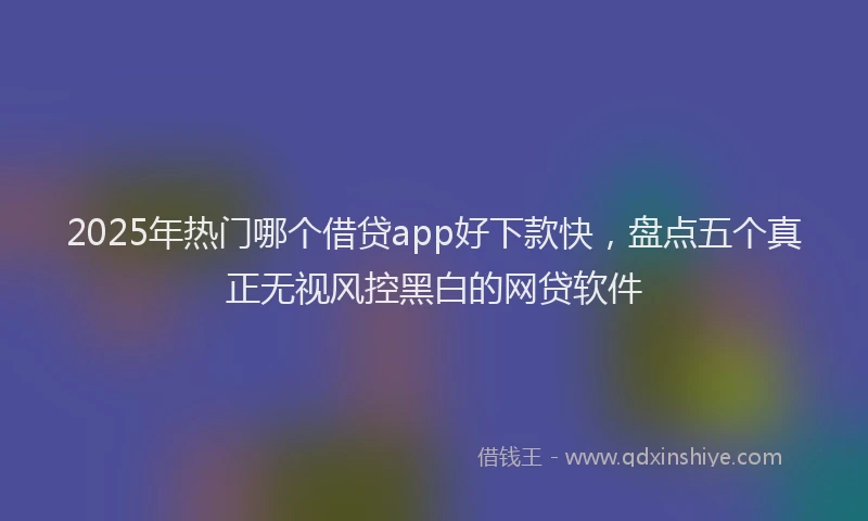 2025年热门哪个借贷app好下款快，盘点五个真正无视风控黑白的网贷软件