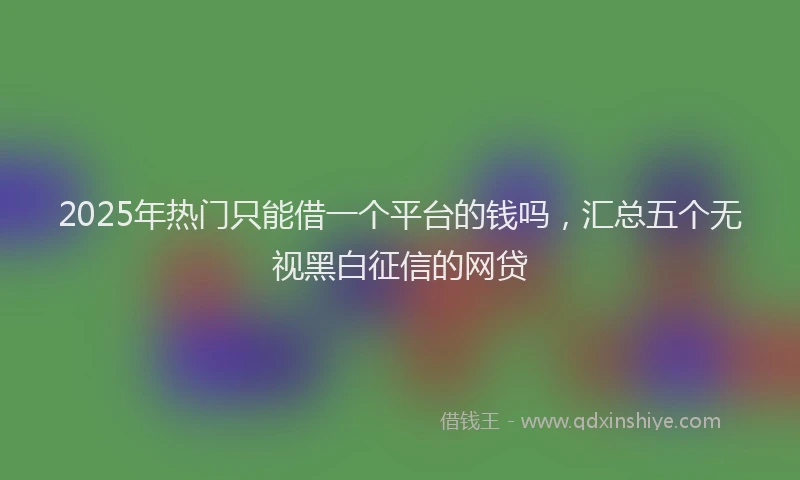2025年热门只能借一个平台的钱吗，汇总五个无视黑白征信的网贷