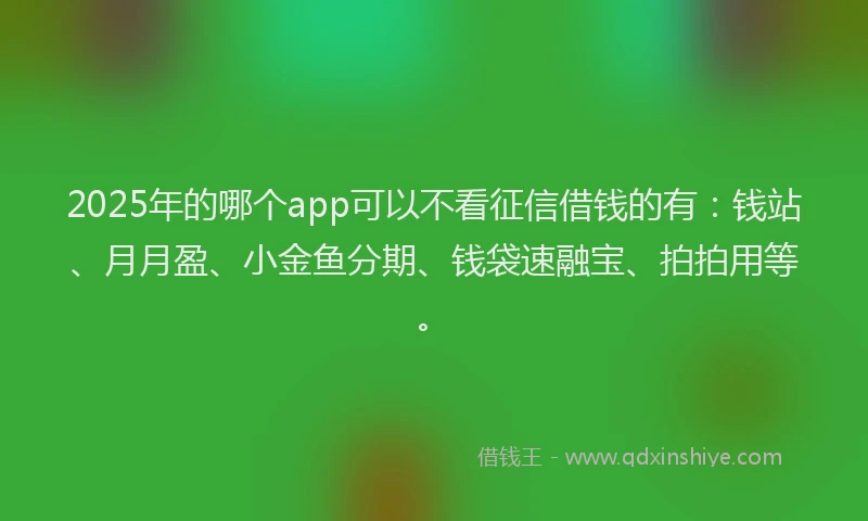 2025年的哪个app可以不看征信借钱的有：钱站、月月盈、小金鱼分期、钱袋速融宝、拍拍用等。