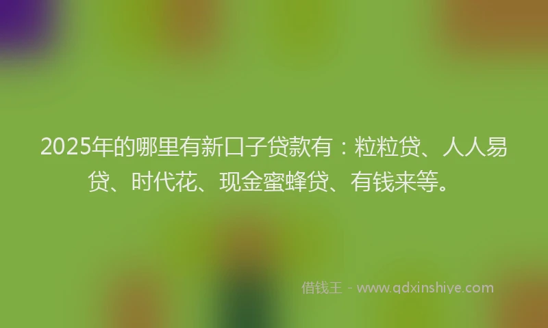 2025年的哪里有新口子贷款有：粒粒贷、人人易贷、时代花、现金蜜蜂贷、有钱来等。