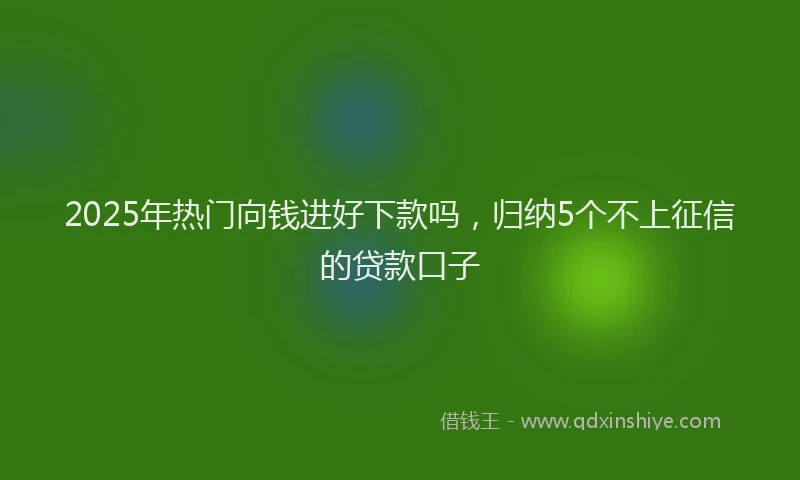 2025年热门向钱进好下款吗，归纳5个不上征信的贷款口子