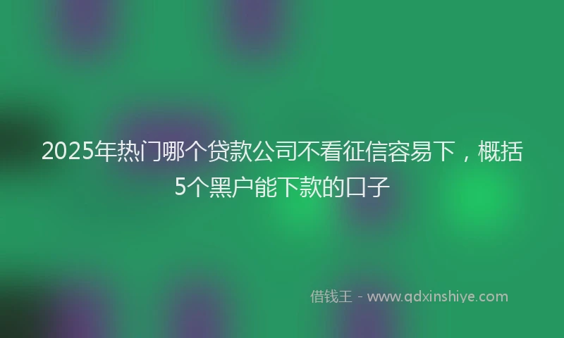 2025年热门哪个贷款公司不看征信容易下，概括5个黑户能下款的口子