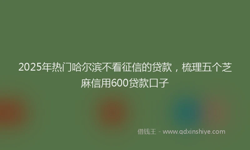 2025年热门哈尔滨不看征信的贷款，梳理五个芝麻信用600贷款口子