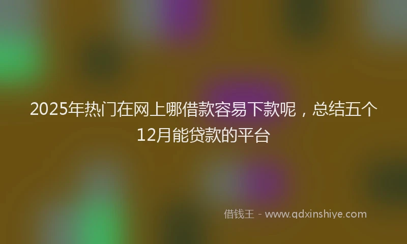 2025年热门在网上哪借款容易下款呢，总结五个12月能贷款的平台