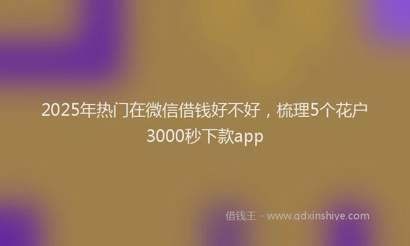 2025年热门在微信借钱好不好，梳理5个花户3000秒下款app