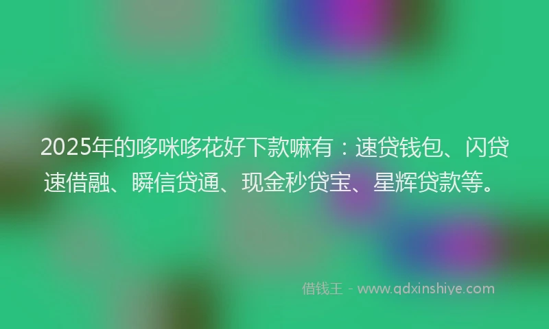 2025年的哆咪哆花好下款嘛有：速贷钱包、闪贷速借融、瞬信贷通、现金秒贷宝、星辉贷款等。