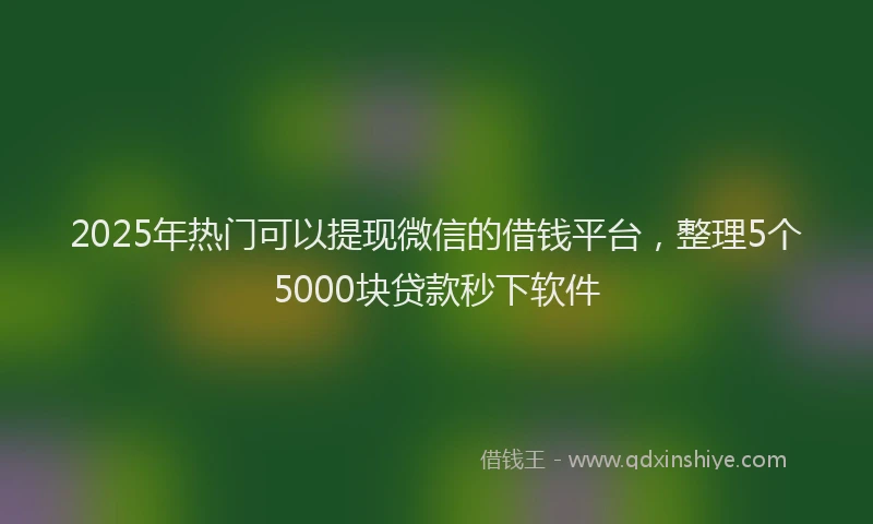 2025年热门可以提现微信的借钱平台，整理5个5000块贷款秒下软件