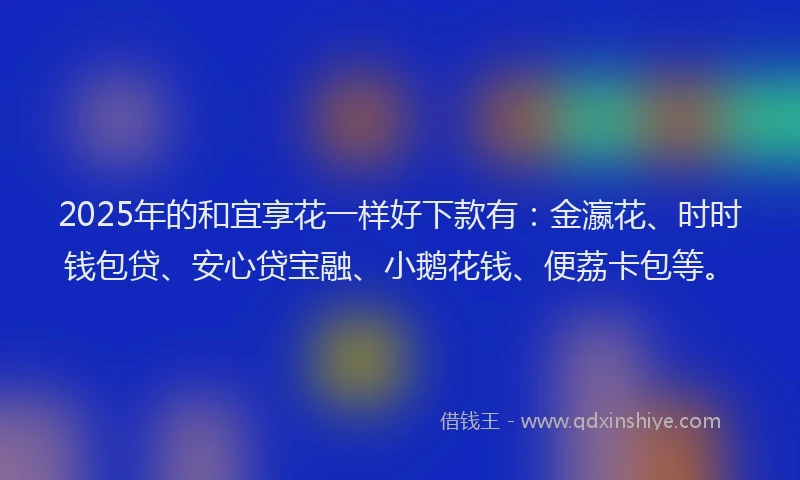2025年的和宜享花一样好下款有：金瀛花、时时钱包贷、安心贷宝融、小鹅花钱、便荔卡包等。