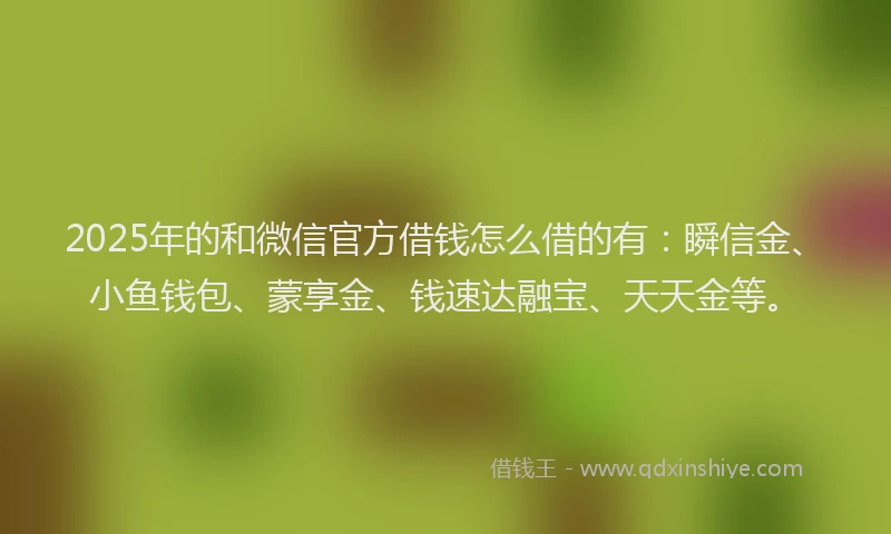 2025年的和微信官方借钱怎么借的有：瞬信金、小鱼钱包、蒙享金、钱速达融宝、天天金等。