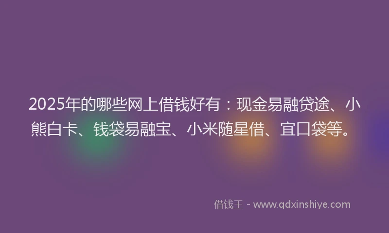 2025年的哪些网上借钱好有：现金易融贷途、小熊白卡、钱袋易融宝、小米随星借、宜口袋等。