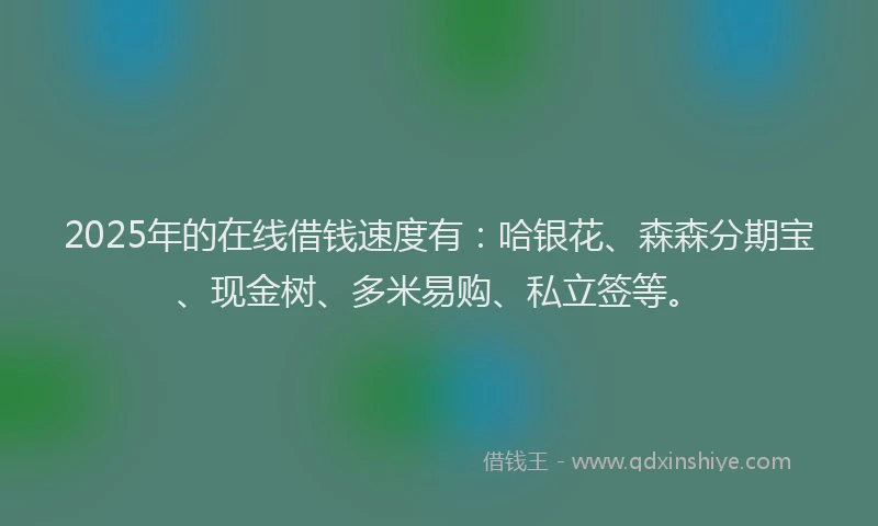 2025年的在线借钱速度有：哈银花、森森分期宝、现金树、多米易购、私立签等。