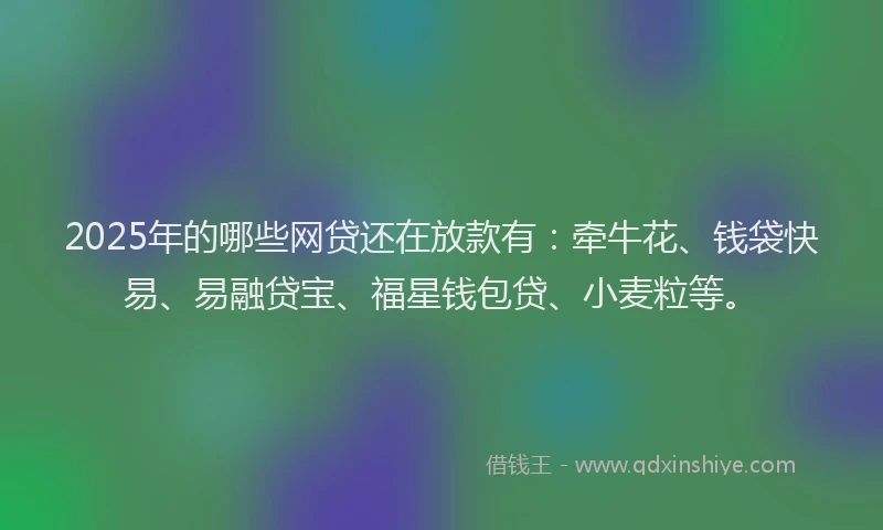 2025年的哪些网贷还在放款有：牵牛花、钱袋快易、易融贷宝、福星钱包贷、小麦粒等。