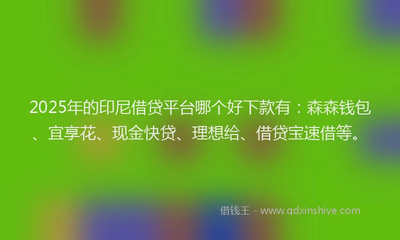 2025年的印尼借贷平台哪个好下款有：森森钱包、宜享花、现金快贷、理想给、借贷宝速借等。