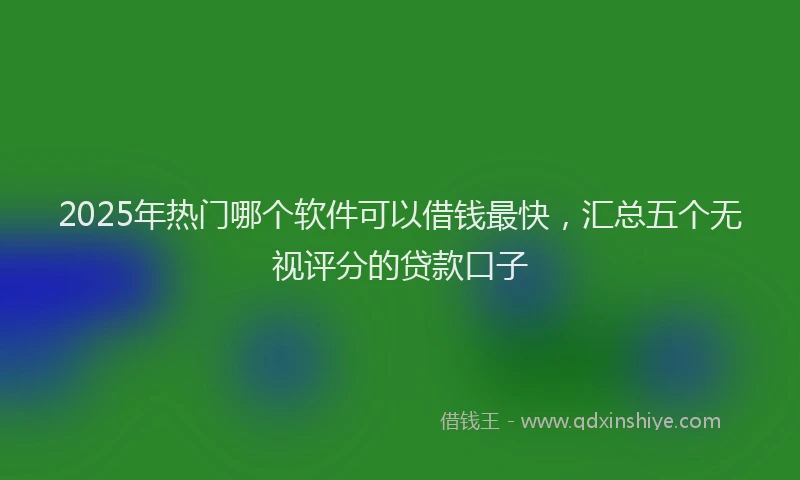 2025年热门哪个软件可以借钱最快，汇总五个无视评分的贷款口子