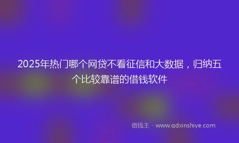 2025年热门哪个网贷不看征信和大数据，归纳五个比较靠谱的借钱软件