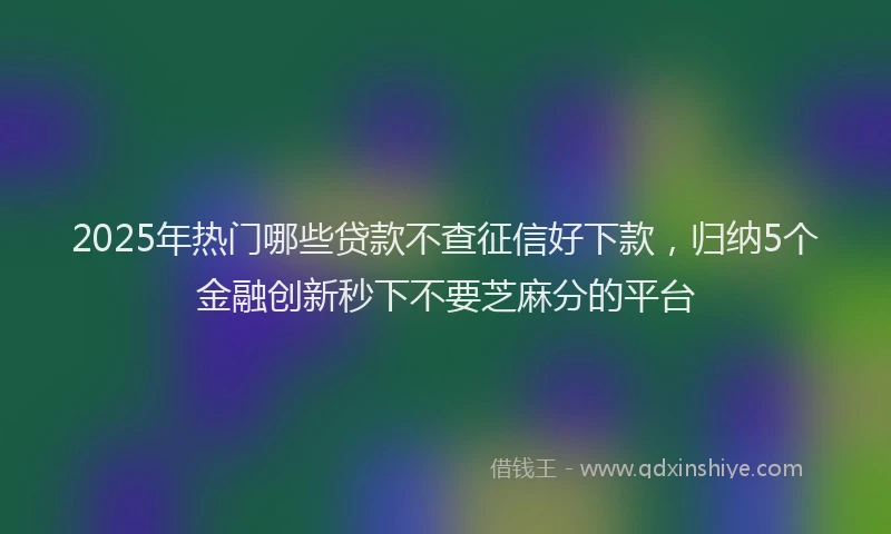 2025年热门哪些贷款不查征信好下款，归纳5个金融创新秒下不要芝麻分的平台