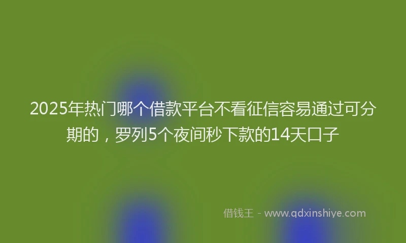 2025年热门哪个借款平台不看征信容易通过可分期的，罗列5个夜间秒下款的14天口子